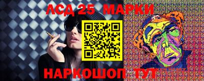 стаф Донской