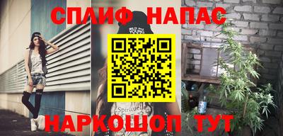 стаф Донской