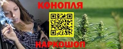 стаф Донской