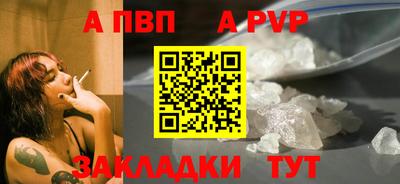 стаф Донской
