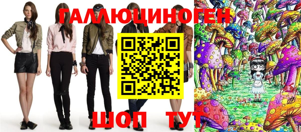 Фрязино  закладка  Вход с VPN  Псилоцибиновые грибы Psilocybe 